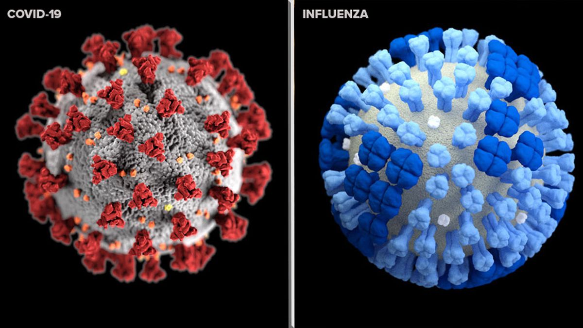 流感病毒形态图片